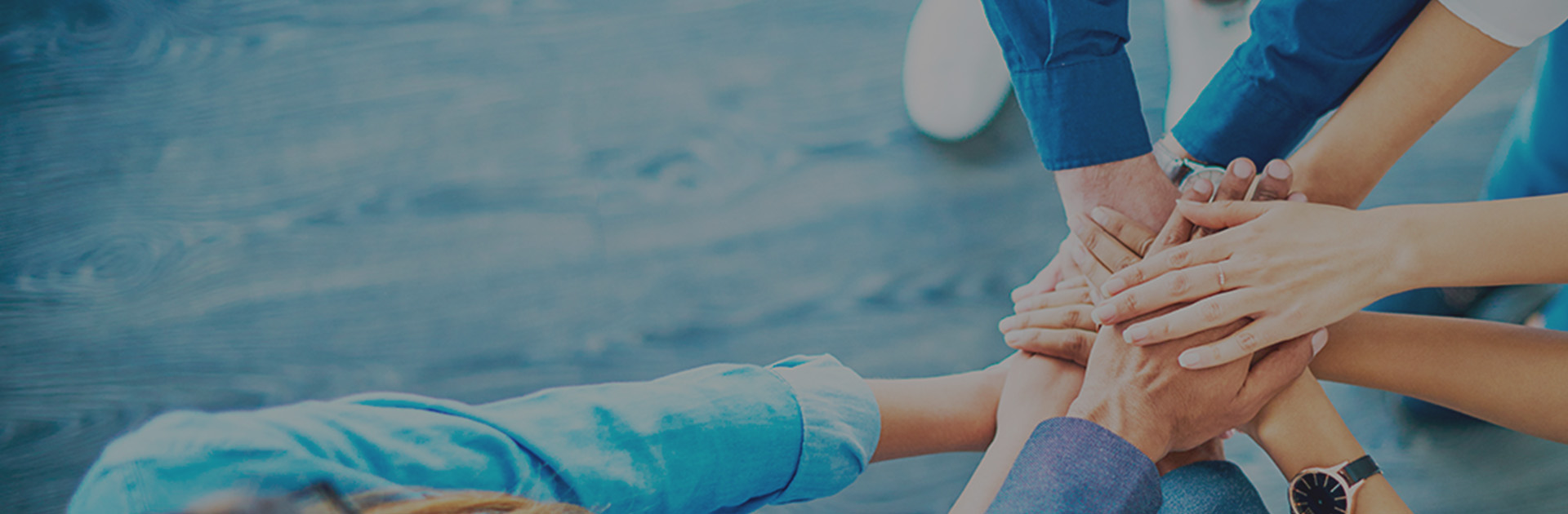 太阳成tyc122cc优势